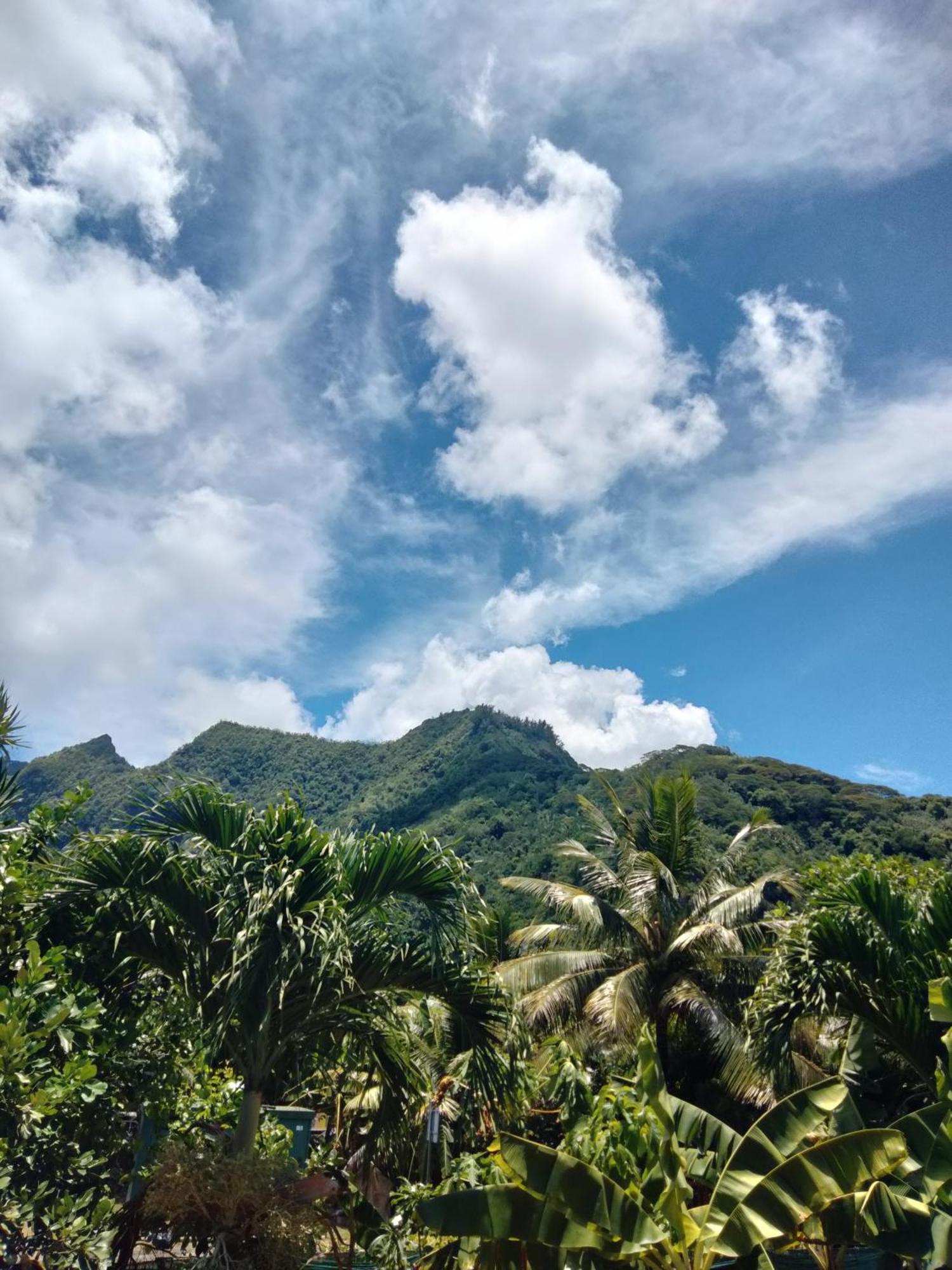 Bungalow Vue Lagon 180 Degre, La Maison Bleue Moorea Zimmer foto